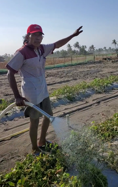 3 agrisol pump used by sand type of farm field copy 3 agrisol pump used by sand type of farm field copy